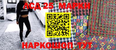 стаф Дубна