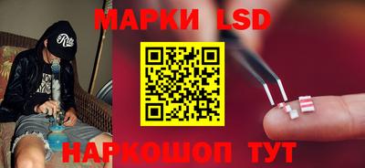 МДПВ Донецк