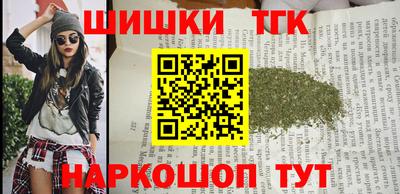 стаф Дубна