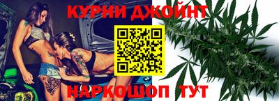 стаф Дубна