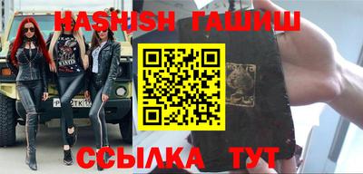 стаф Дубна