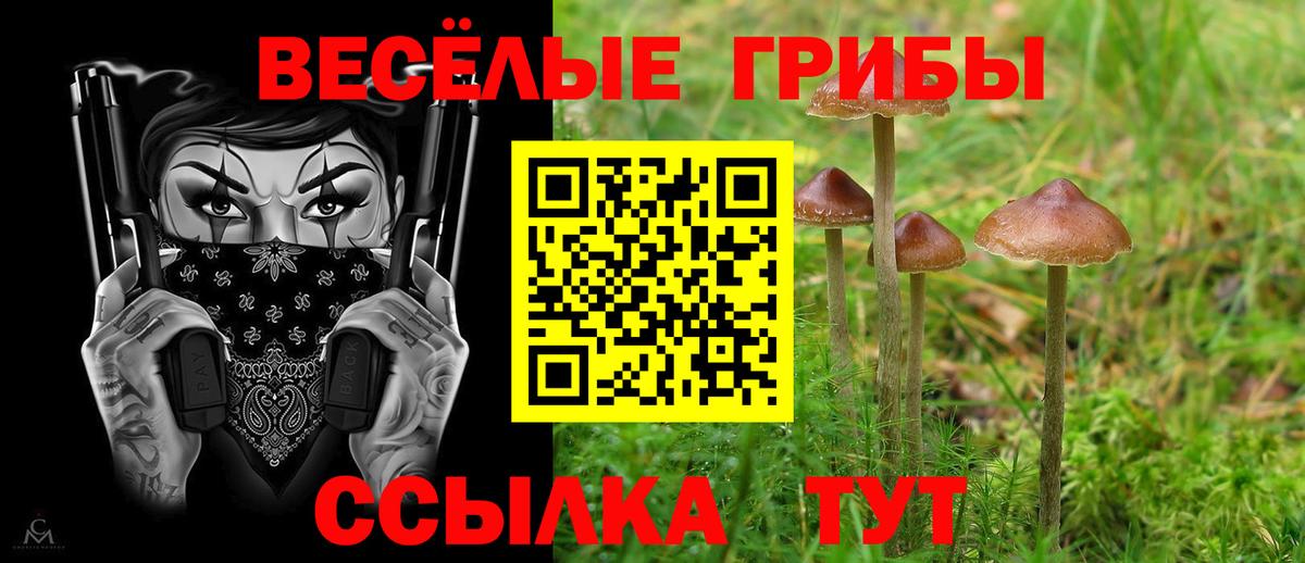 Псилоцибиновые грибы MAGIC MUSHROOMS Оренбург